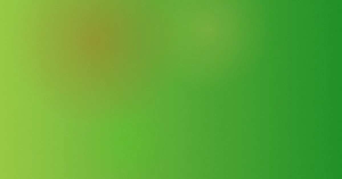 wwwwxx攻略：同类产品横向对比